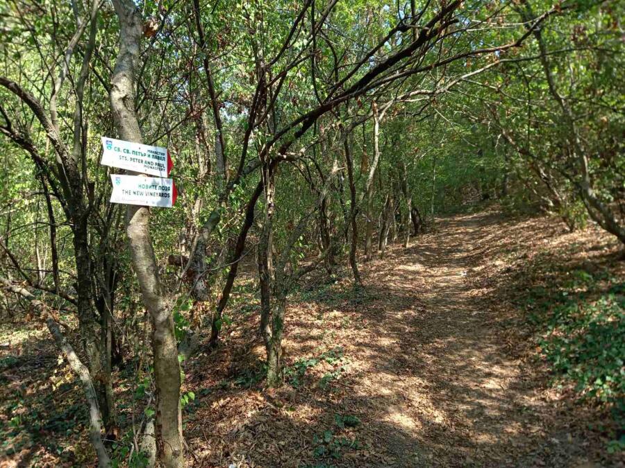 Завърши подновяването на туристическите маршрути от с.Арбанаси до кв. Асенов