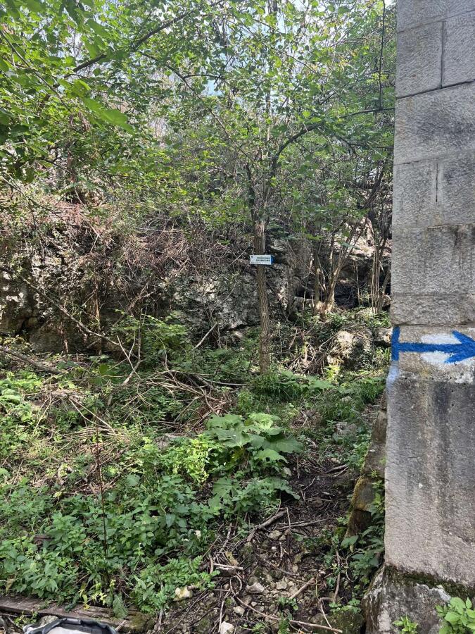 Завърши подновяването на туристическите маршрути от с.Арбанаси до кв. Асенов
