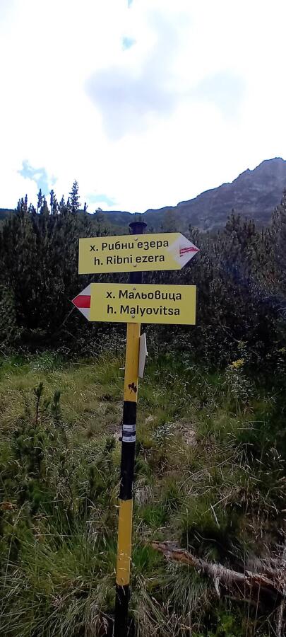 Ден четвърти по Е4