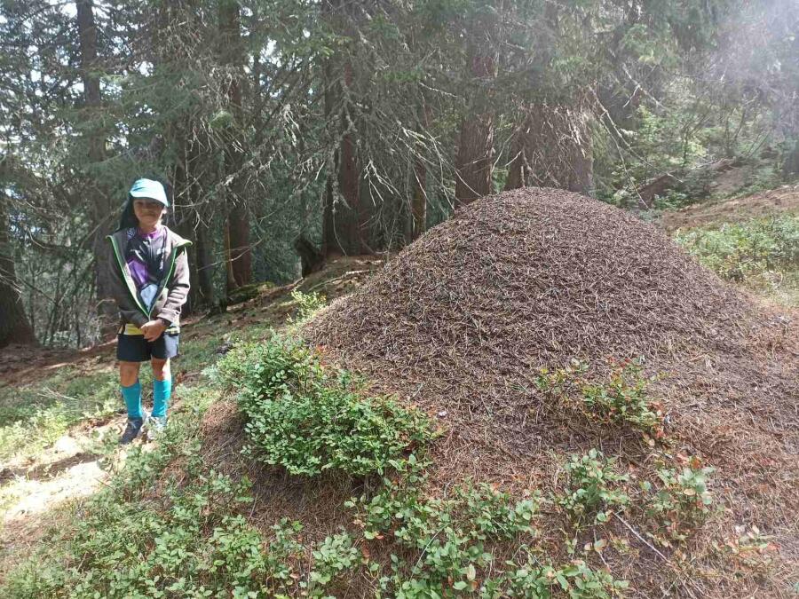 Ден 8 - от хижа Вихрен до хижа Пирин, по маршрута Е4