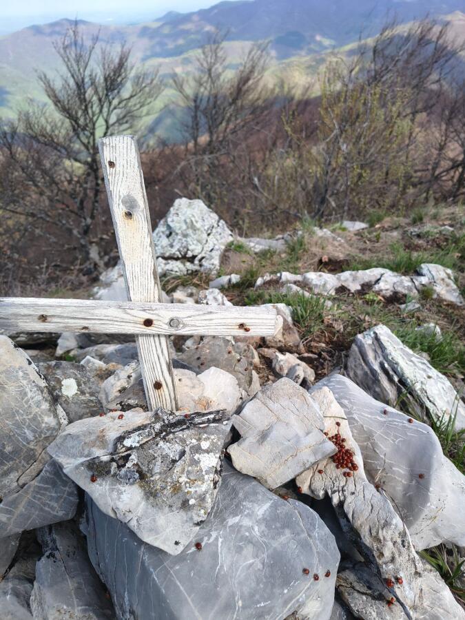 Туристите-пешеходци на поход в Западна Стара планина
