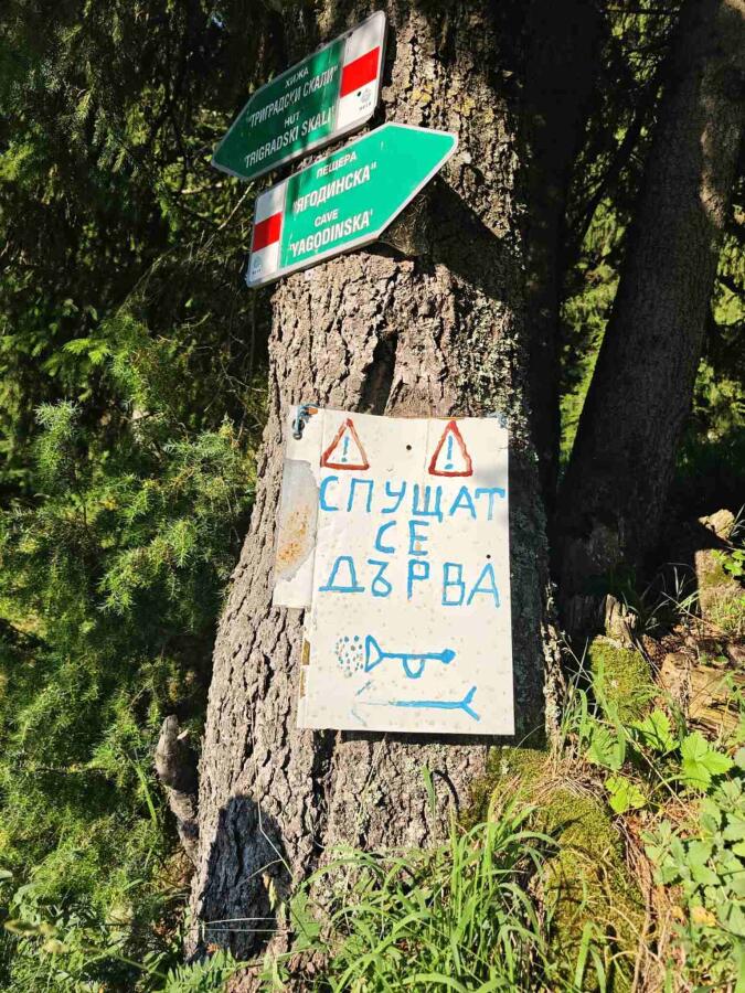 Групата на ТД „Трапезица - 1902“ с водач Боян Димов – по 14 дневния маршрут Е8, лято 2026