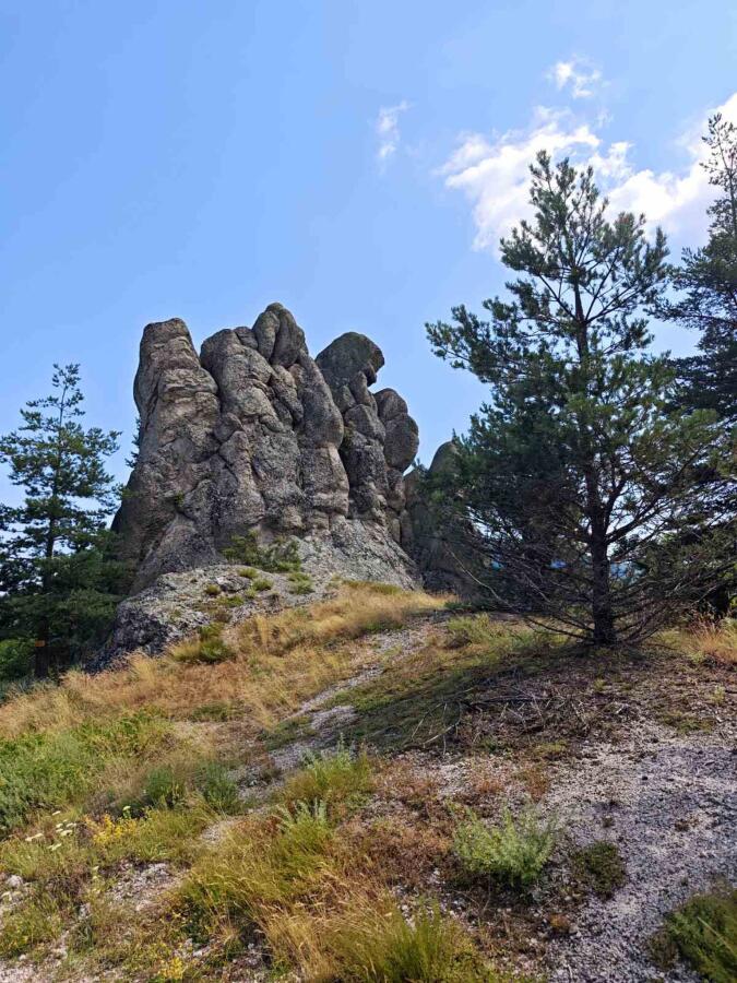 Групата на ТД „Трапезица - 1902“ с водач Боян Димов – по 14 дневния маршрут Е8, лято 2026