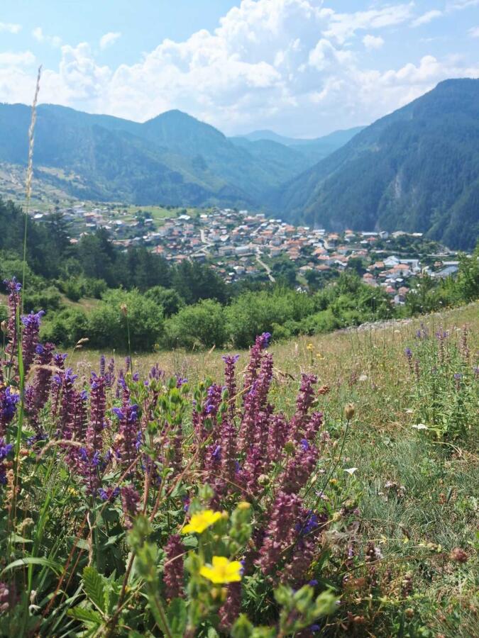 Групата на ТД „Трапезица - 1902“ с водач Боян Димов – по 14 дневния маршрут Е8, лято 2026