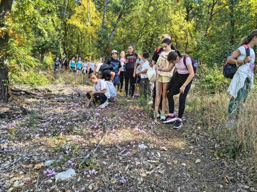 Втори етап на есенната кампания „Движи се и победи“