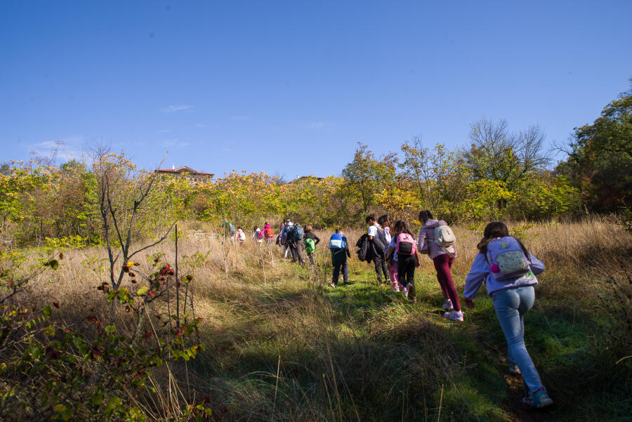 По пътеките към с. Арбанаси - трети етап на есенната кампания "Движи се и победи - 2026"