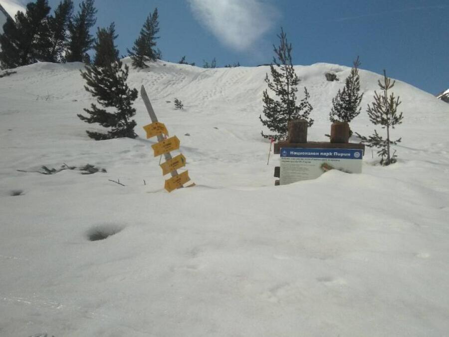 Ски рали